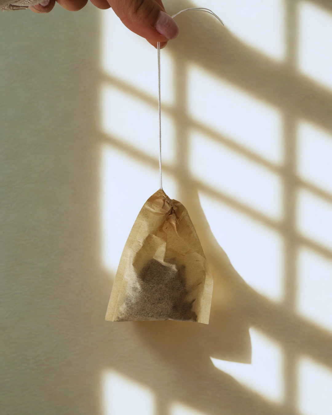 Loose Leaf Tea bags